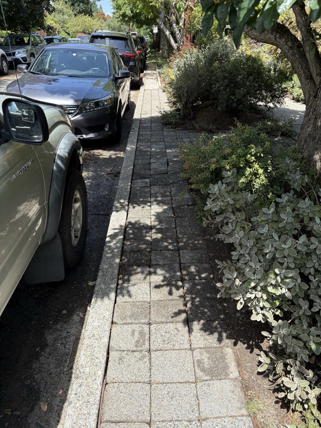 Walkway pavers after cleaning