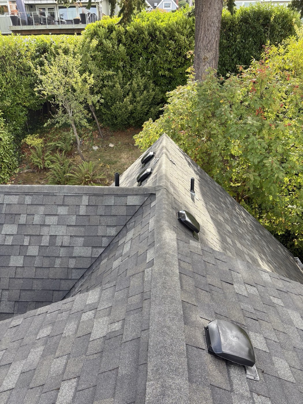 Roof after moss and debris treatment