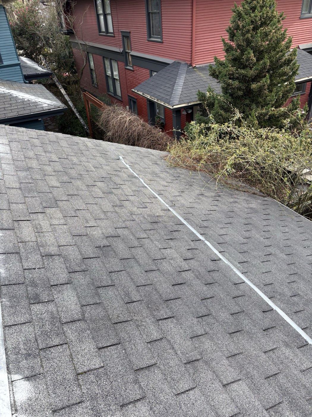 Roof after moss treatment