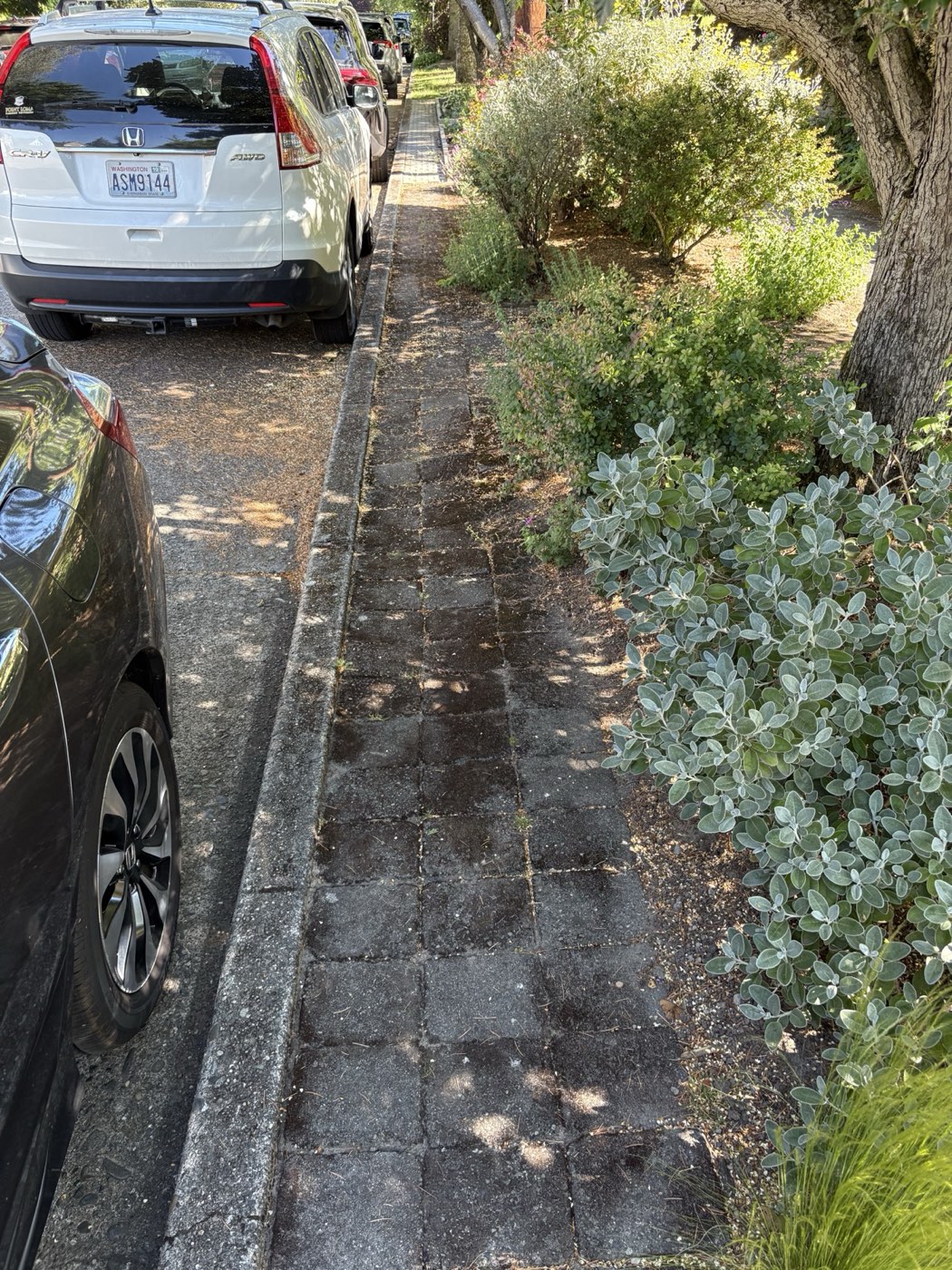Walkway pavers before cleaning