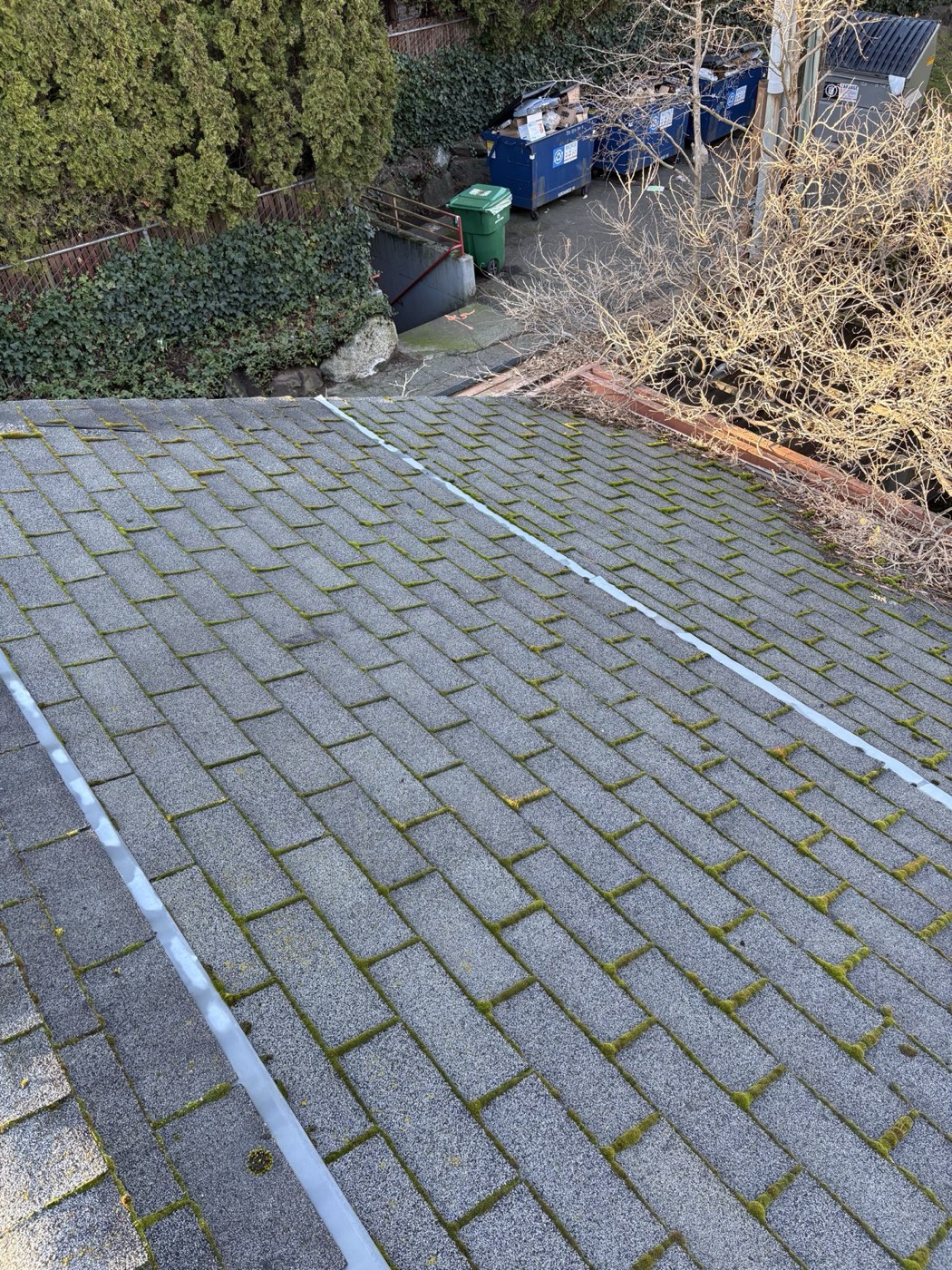 Roof before moss treatment, covered in moss