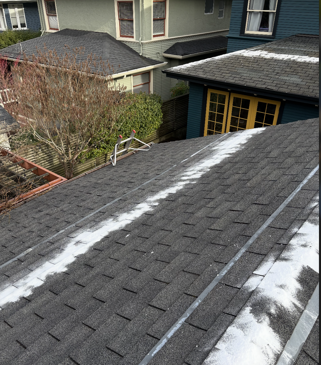 Roof after moss treatment application